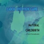 Labor Overview Game